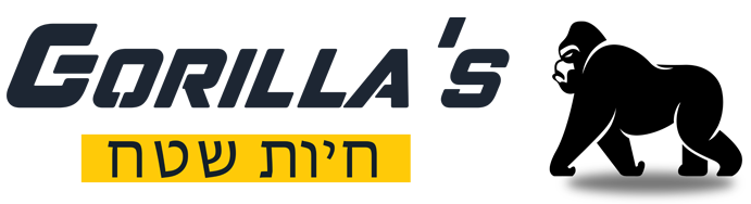 Technology Partner